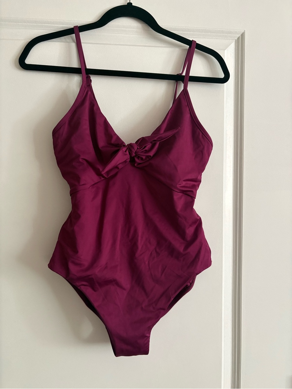 Seafolly One-Piece Swimsuit in Berry Plum